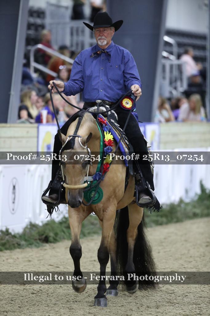 Proof 25R13_07254