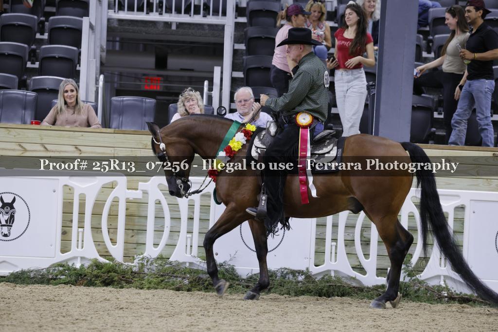 Proof 25R13_07256
