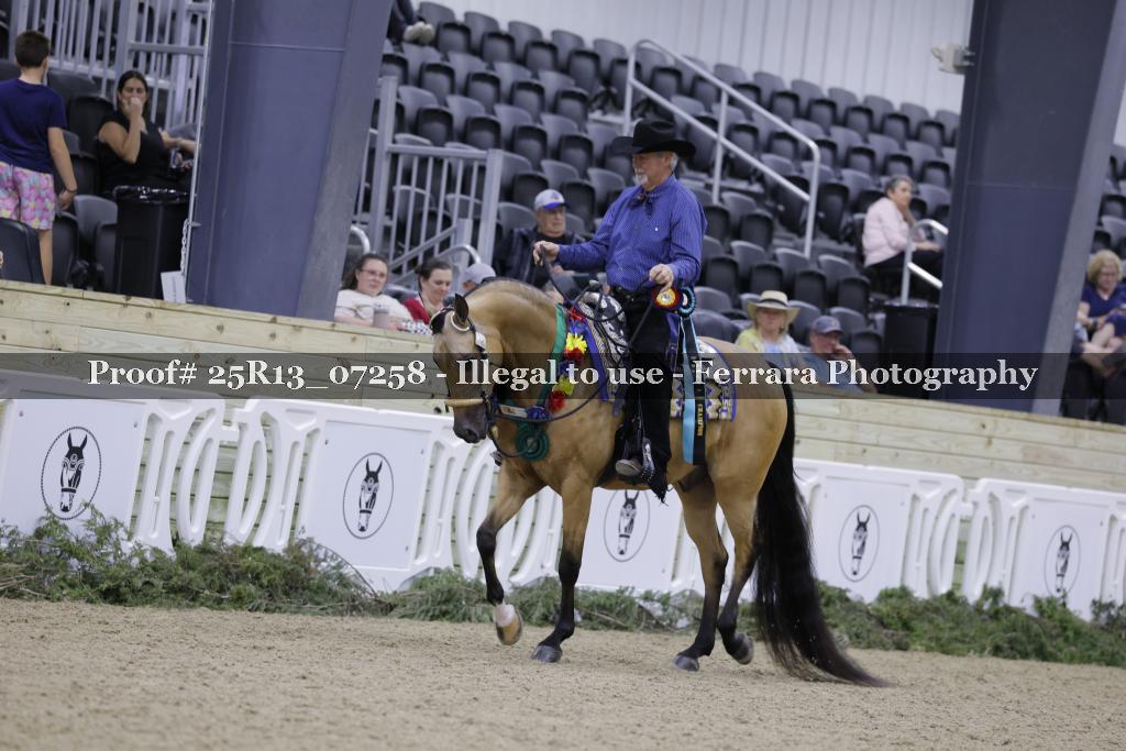 Proof 25R13_07258