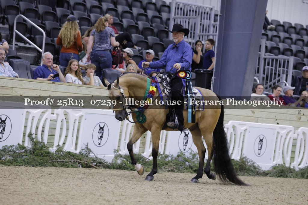 Proof 25R13_07259