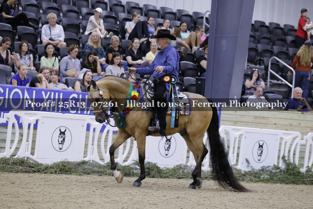 Proof 25R13_07261