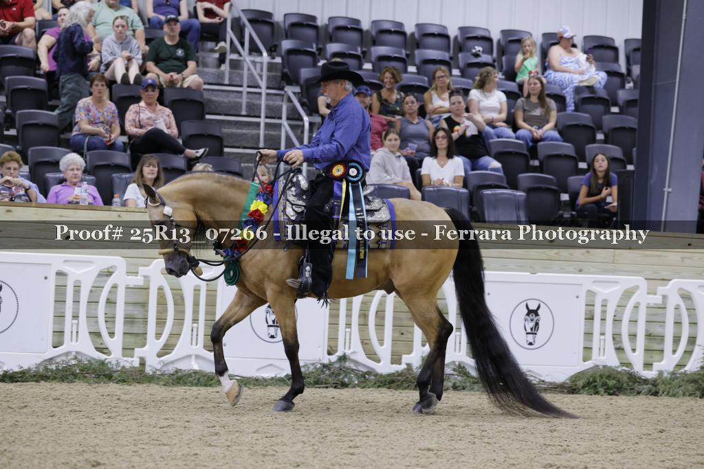 Proof 25R13_07266