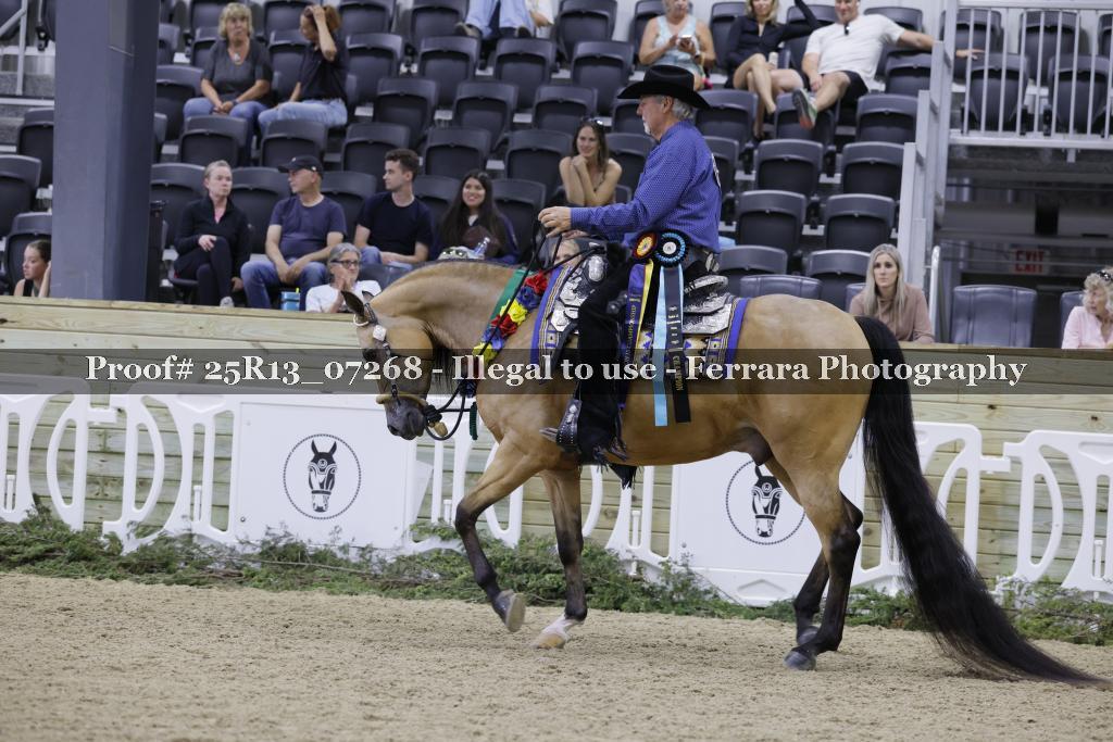 Proof 25R13_07268