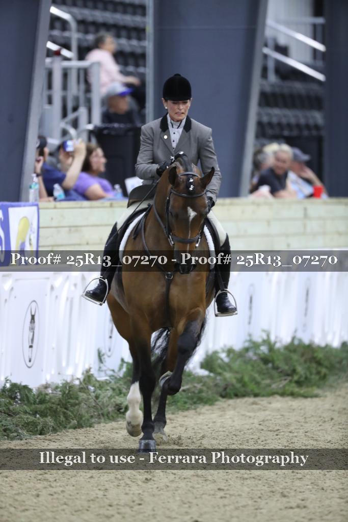 Proof 25R13_07270