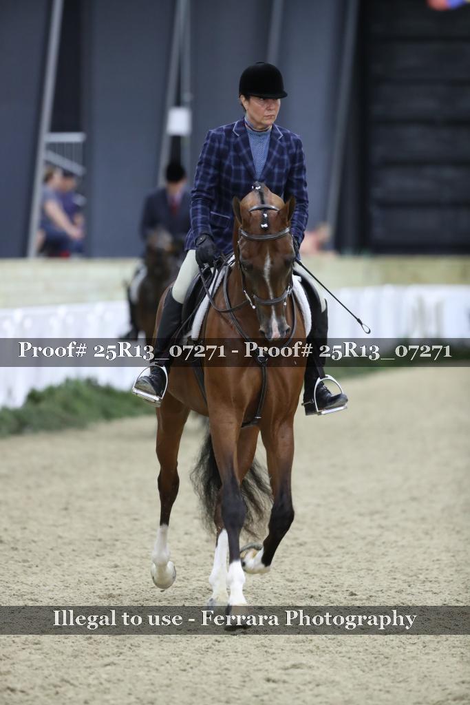 Proof 25R13_07271