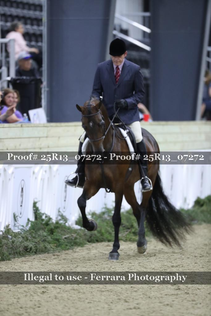 Proof 25R13_07272