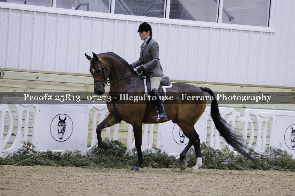Proof 25R13_07273