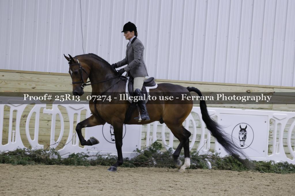 Proof 25R13_07274