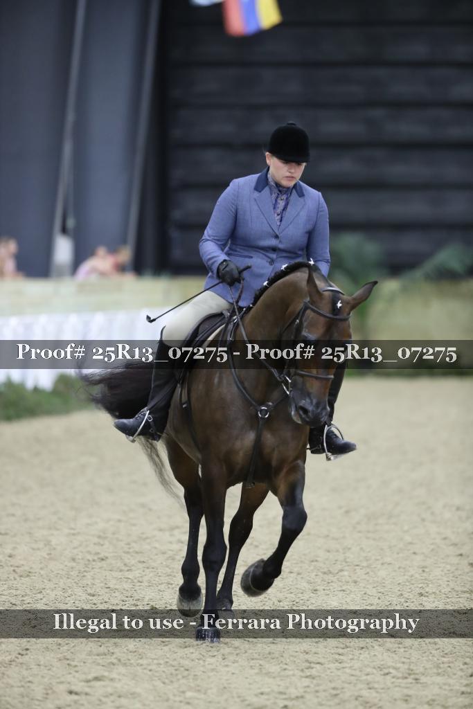 Proof 25R13_07275