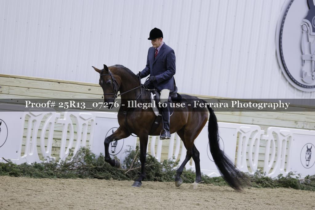Proof 25R13_07276