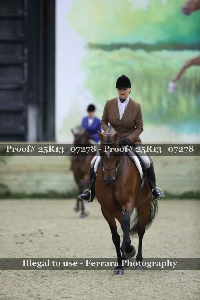 Proof 25R13_07278