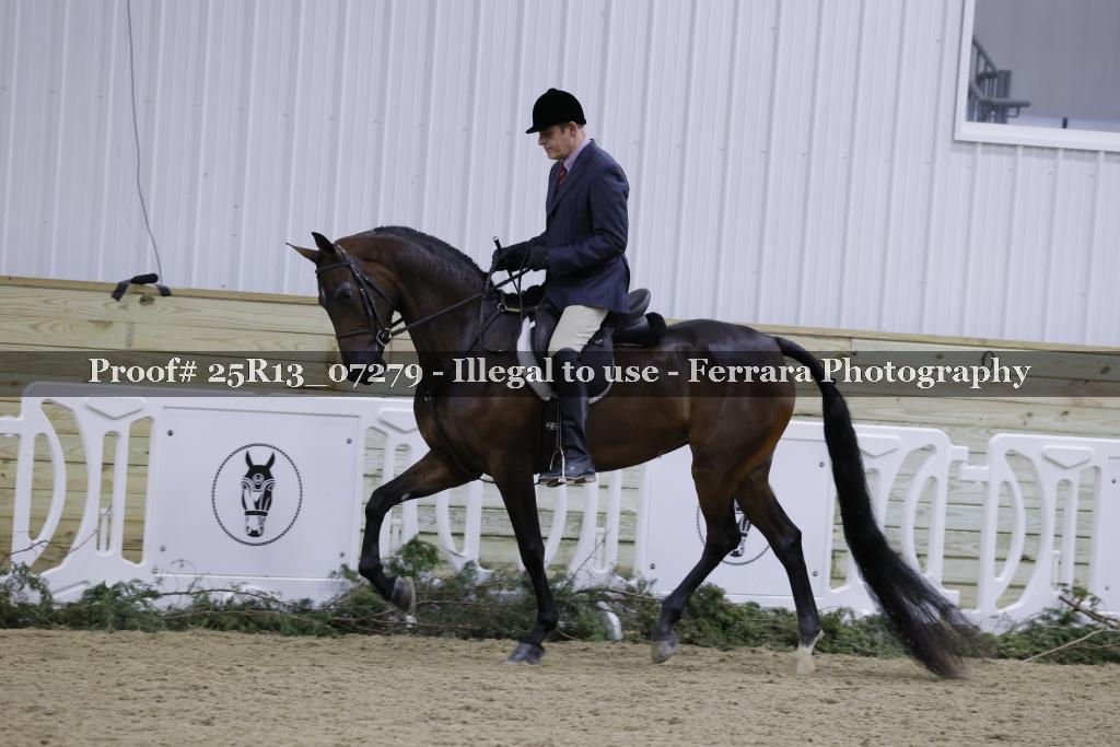 Proof 25R13_07279