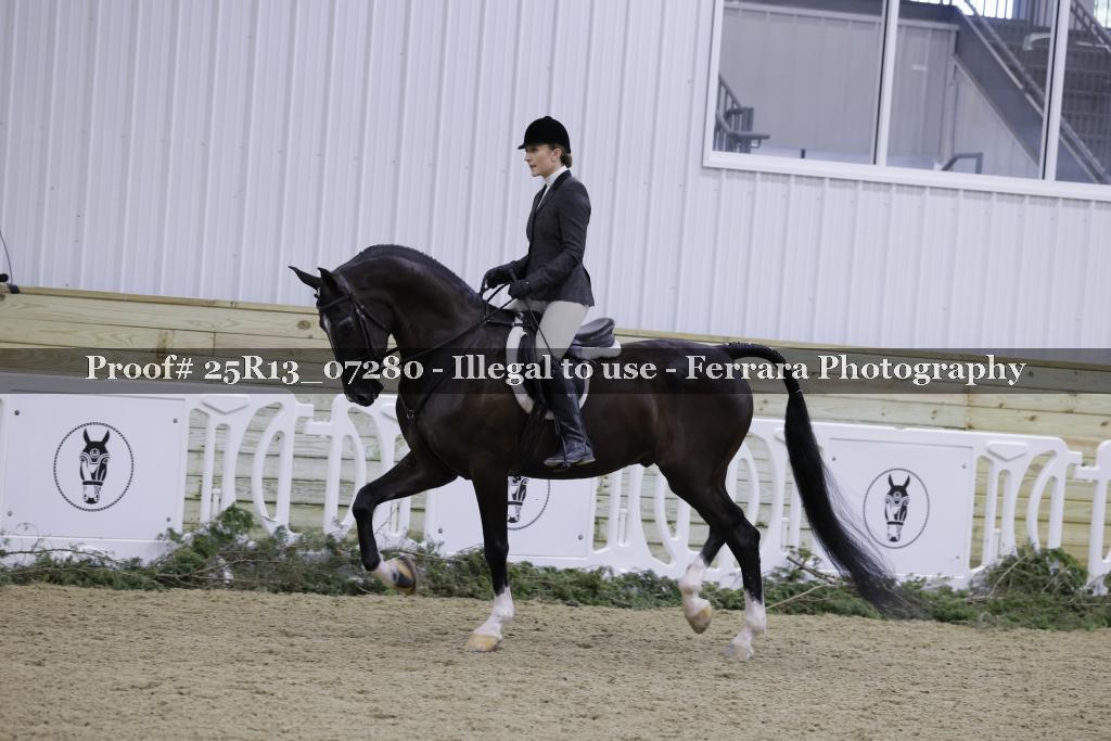 Proof 25R13_07280