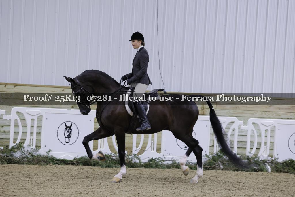 Proof 25R13_07281