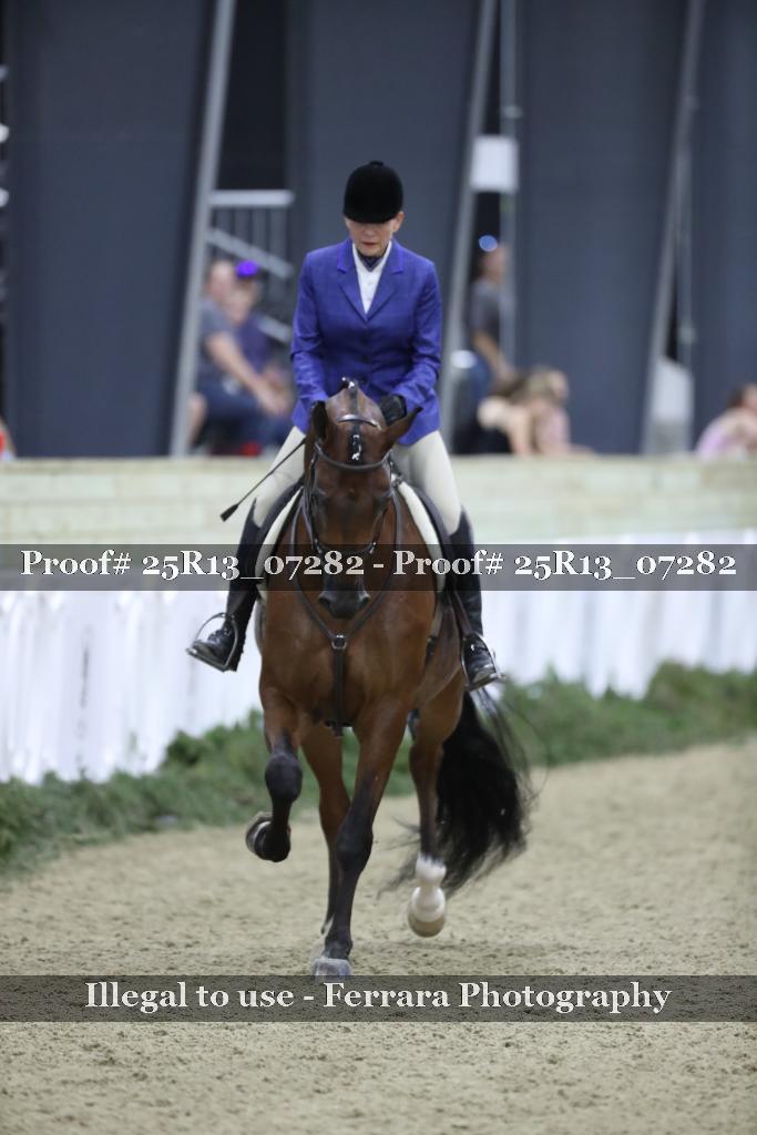 Proof 25R13_07282