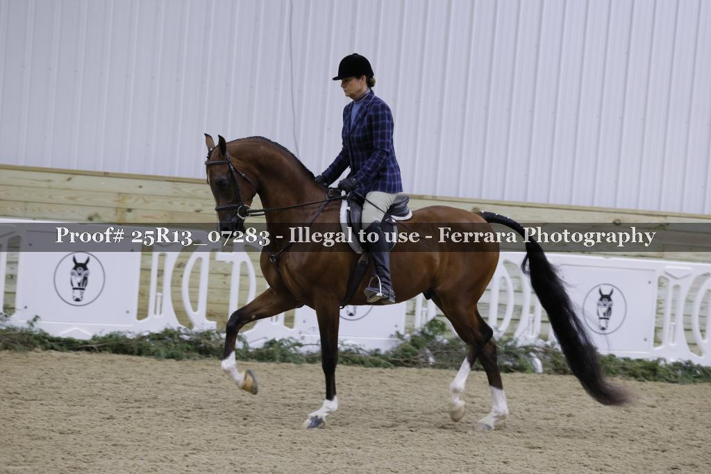 Proof 25R13_07283