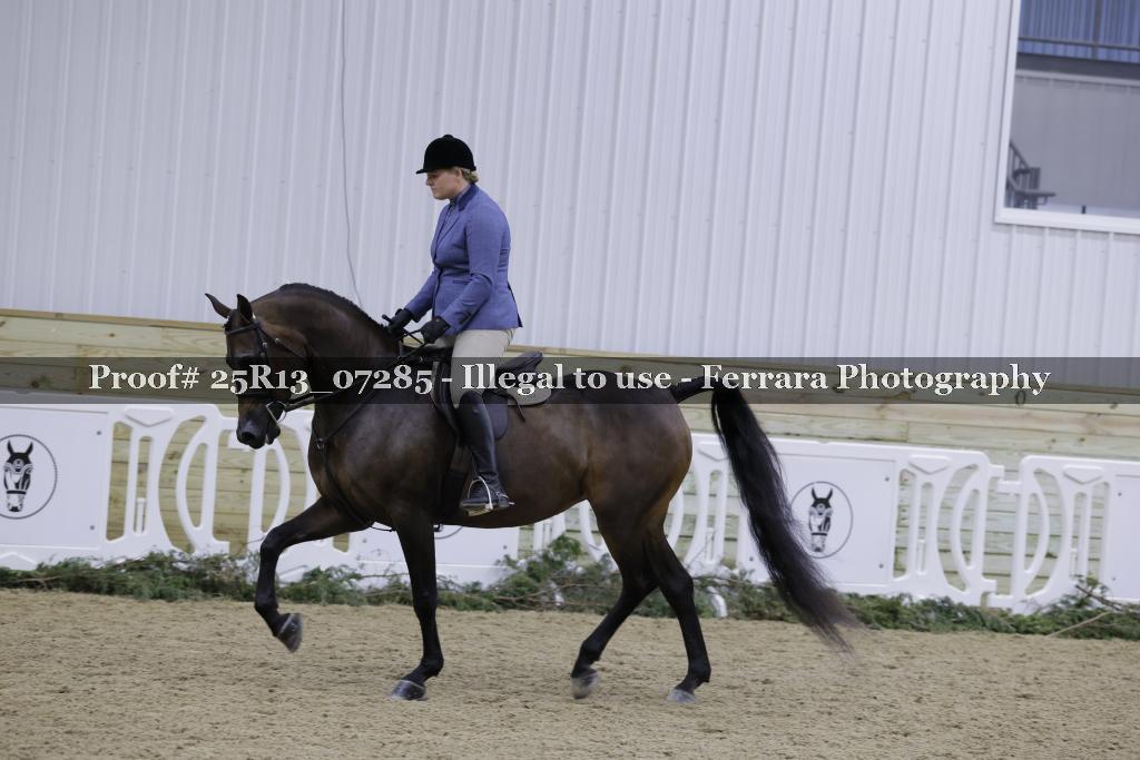 Proof 25R13_07285