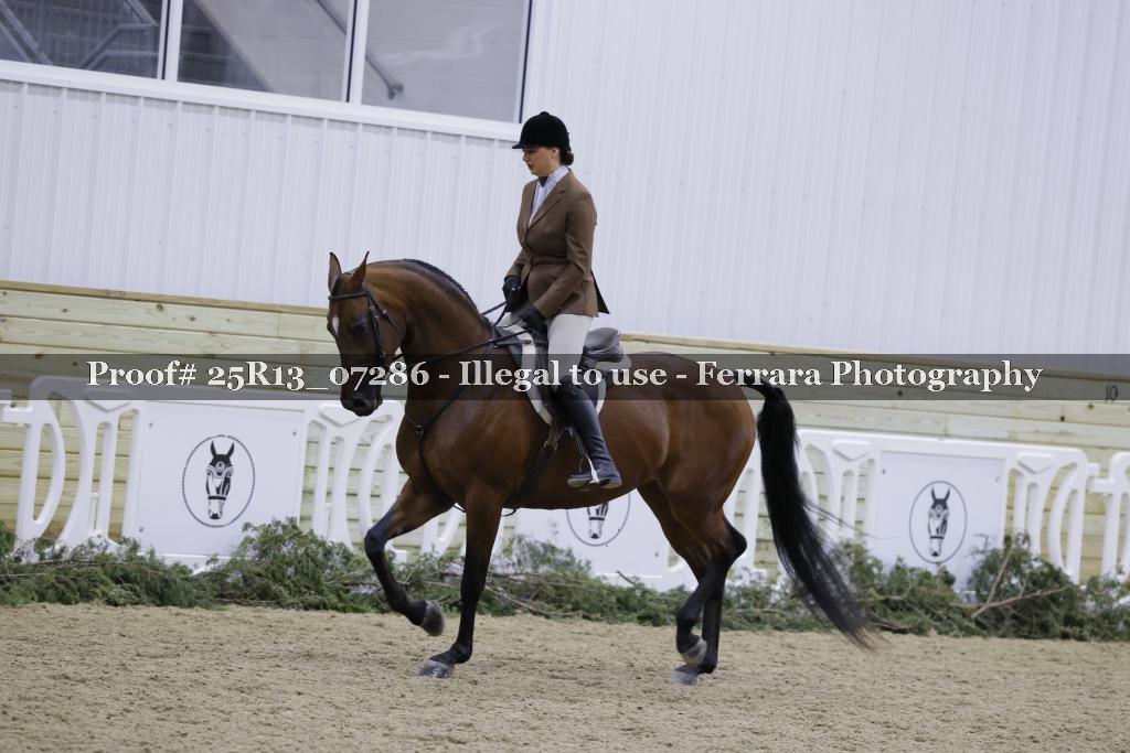 Proof 25R13_07286