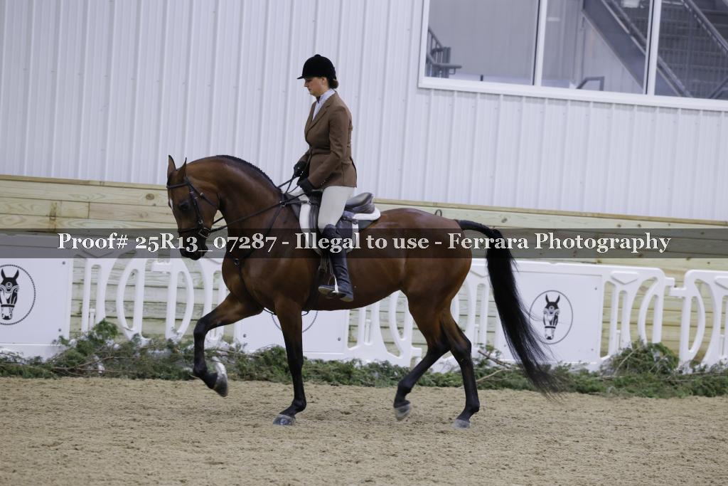 Proof 25R13_07287