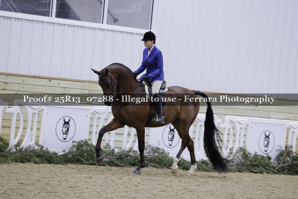 Proof 25R13_07288