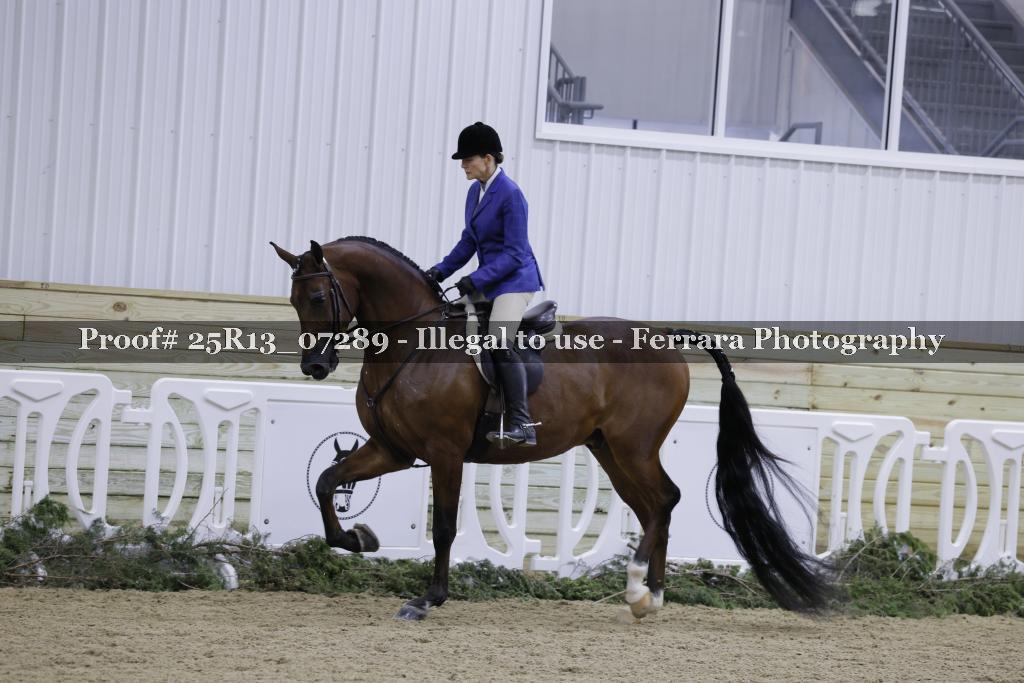Proof 25R13_07289