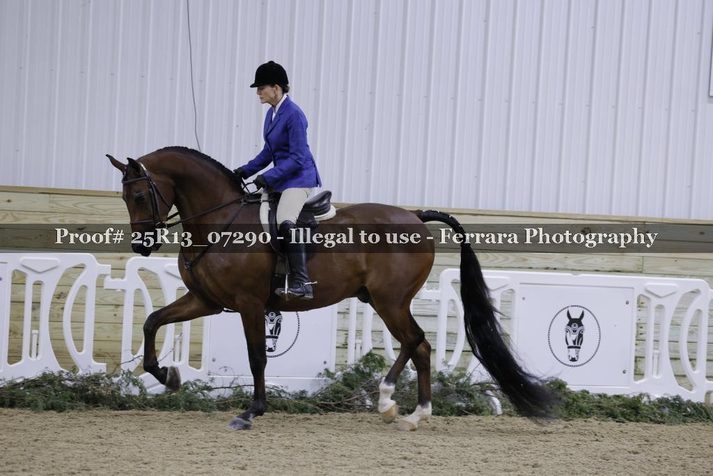 Proof 25R13_07290