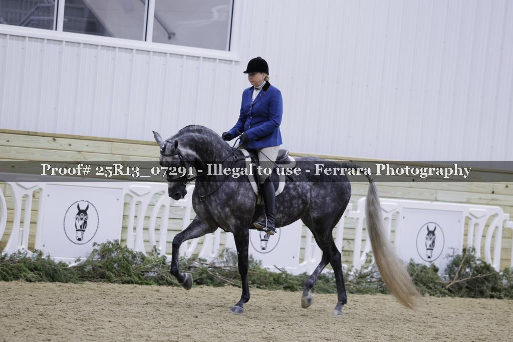 Proof 25R13_07291