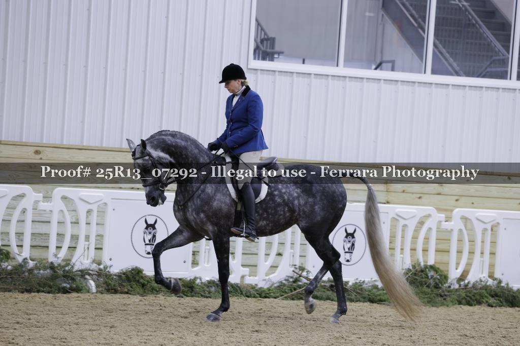 Proof 25R13_07292