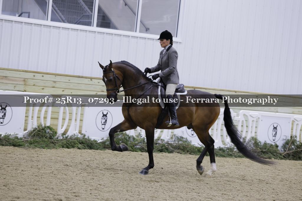Proof 25R13_07293
