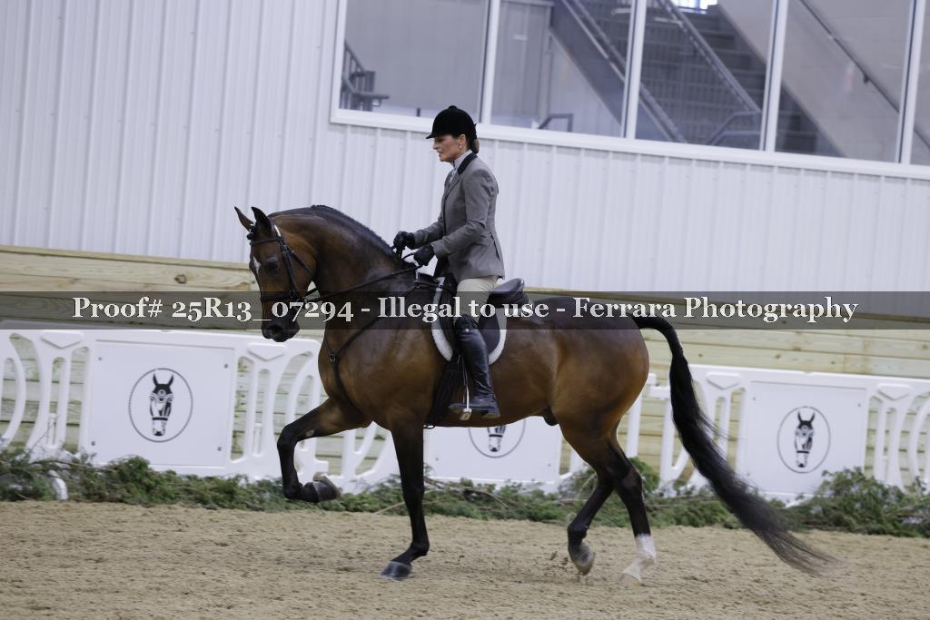 Proof 25R13_07294