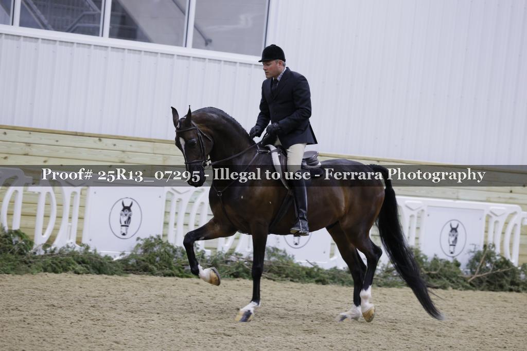 Proof 25R13_07295