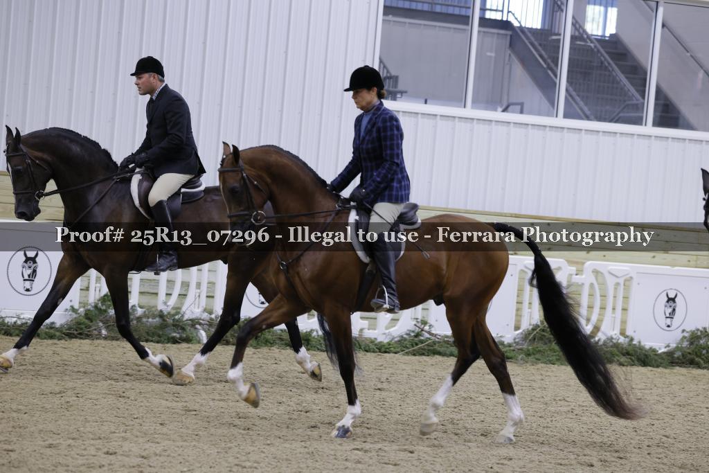 Proof 25R13_07296