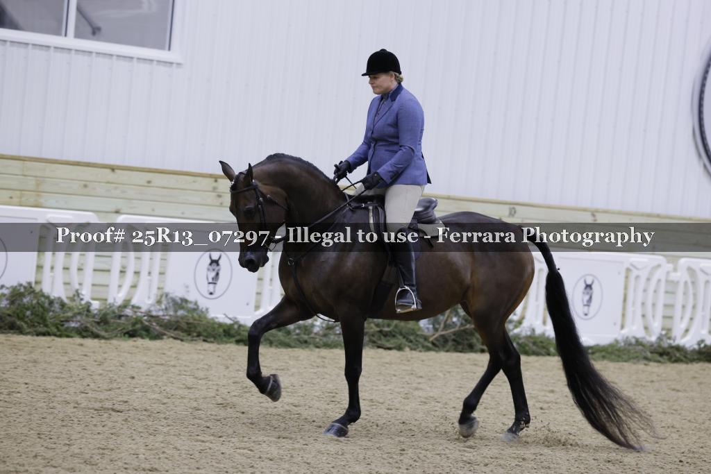 Proof 25R13_07297