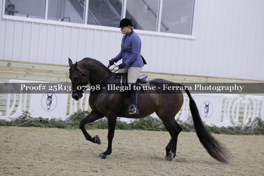 Proof 25R13_07298