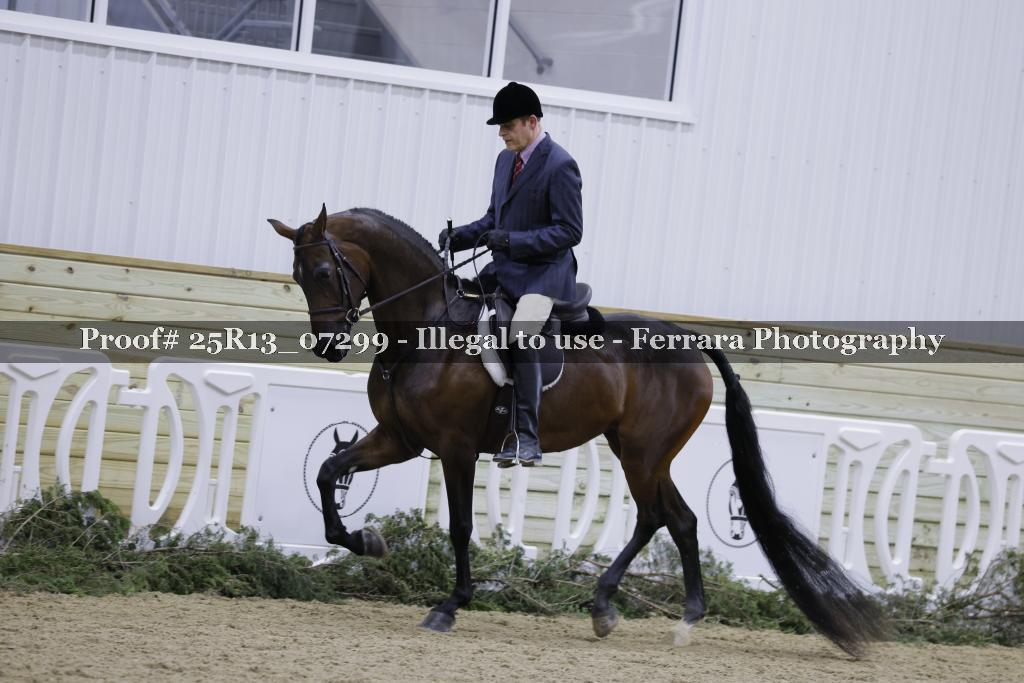Proof 25R13_07299