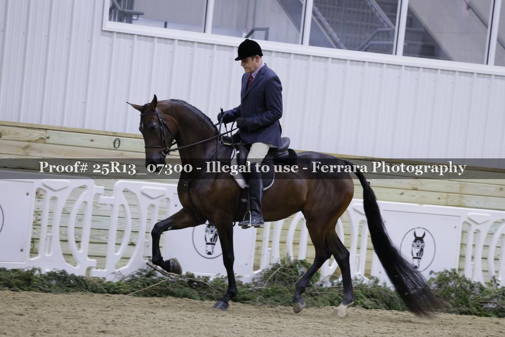 Proof 25R13_07300