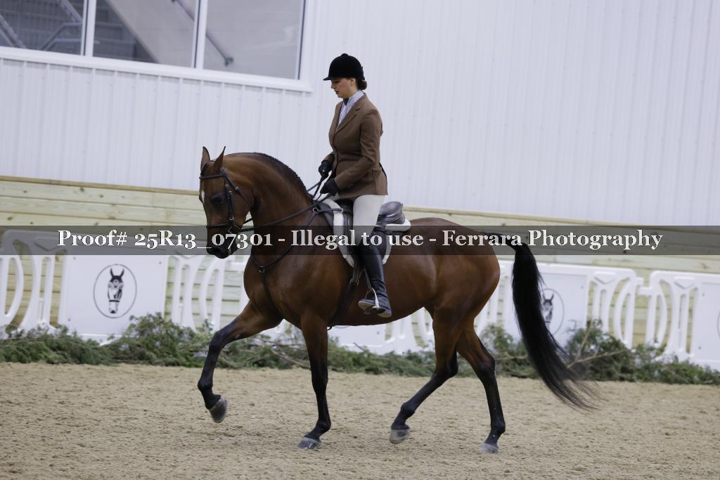 Proof 25R13_07301
