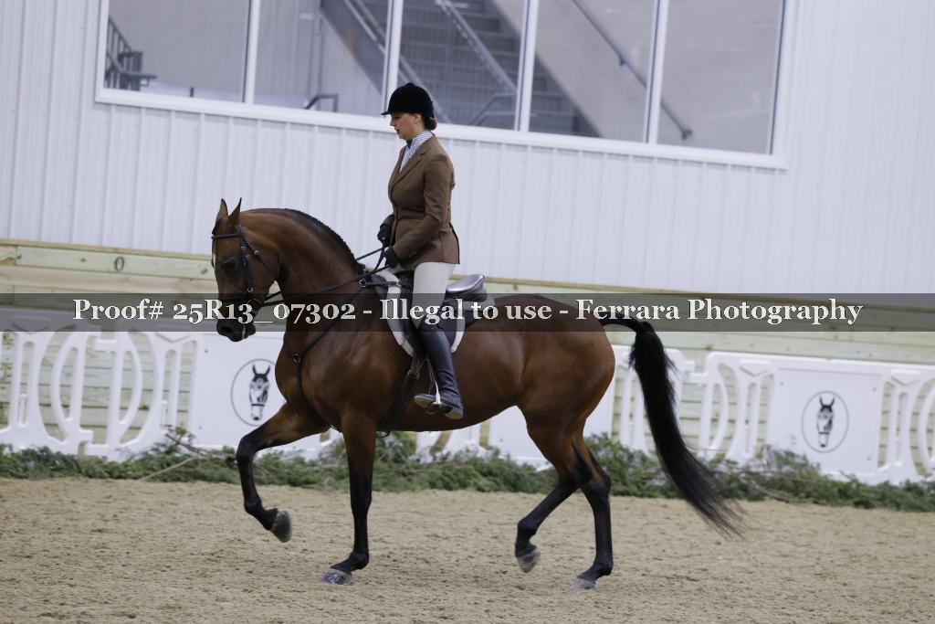 Proof 25R13_07302