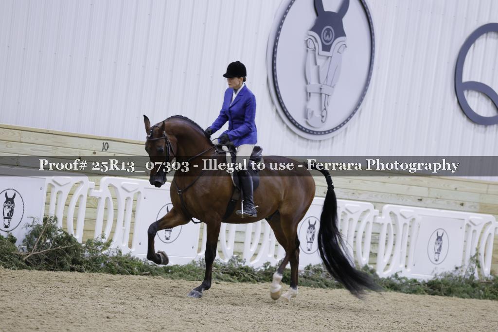 Proof 25R13_07303