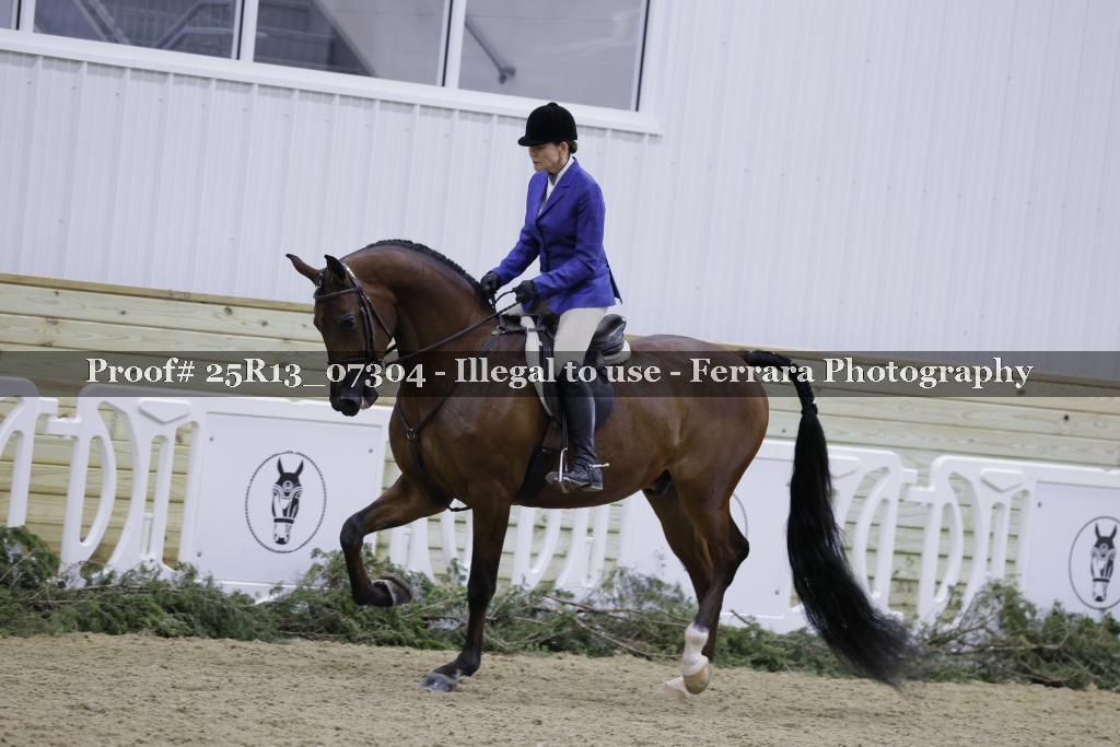 Proof 25R13_07304