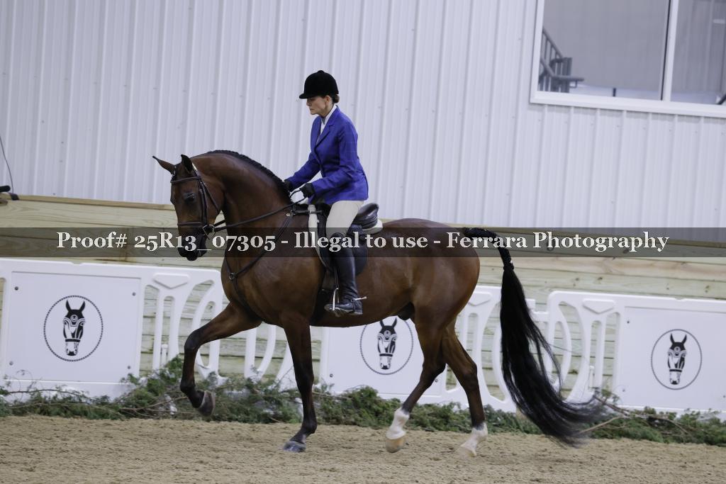 Proof 25R13_07305