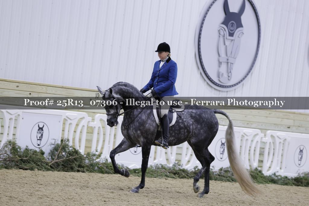 Proof 25R13_07306