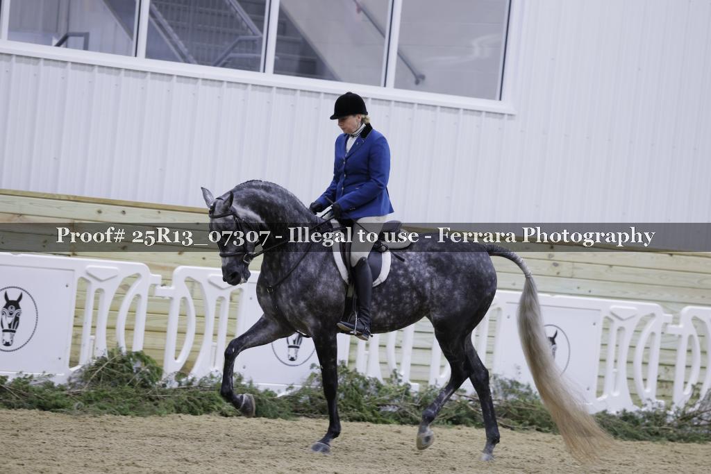 Proof 25R13_07307