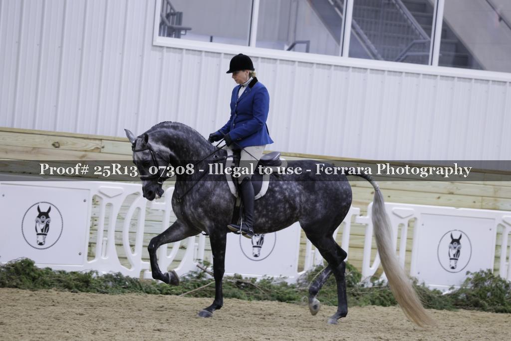 Proof 25R13_07308