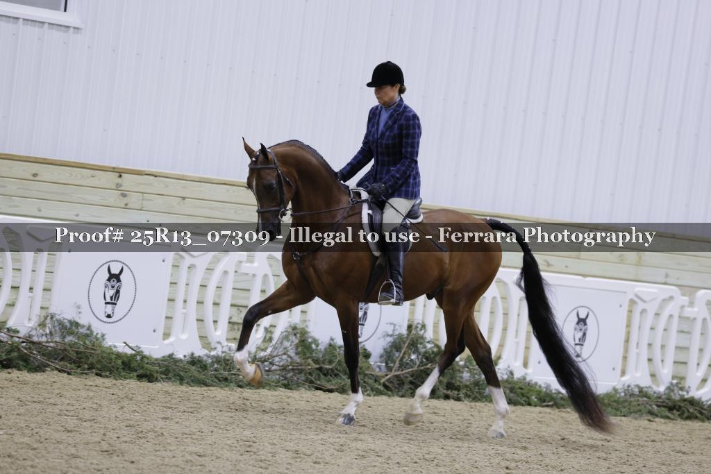 Proof 25R13_07309