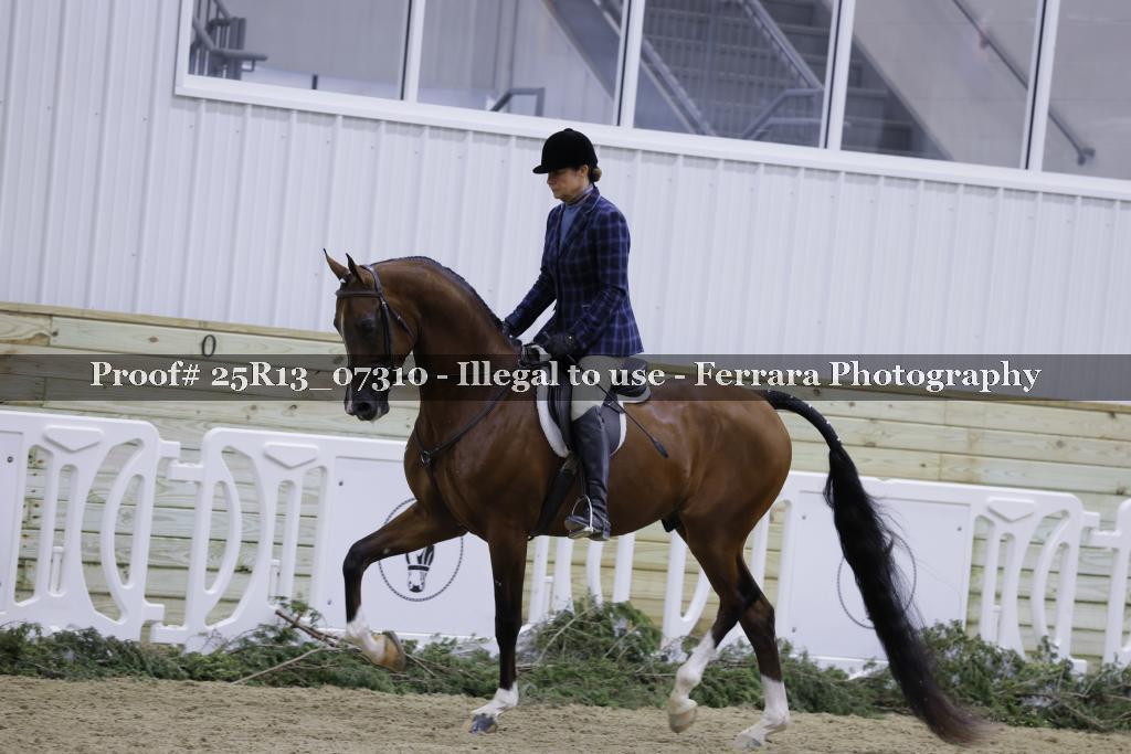 Proof 25R13_07310