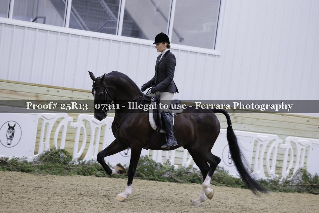 Proof 25R13_07311