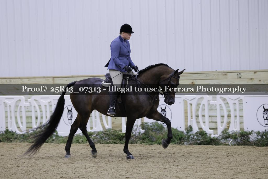 Proof 25R13_07313