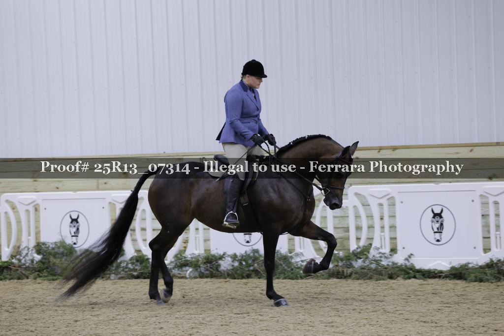 Proof 25R13_07314