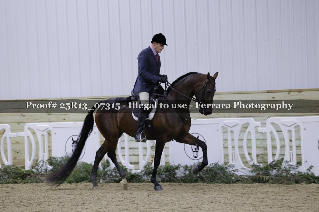 Proof 25R13_07315